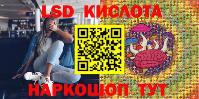 индика Тулун