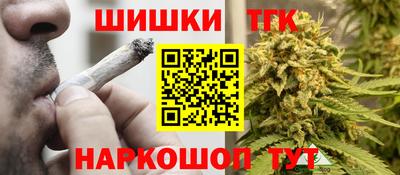 индика Тулун