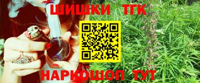 индика Тулун