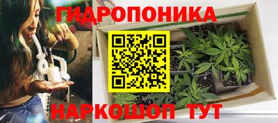 эйфоретик Тула